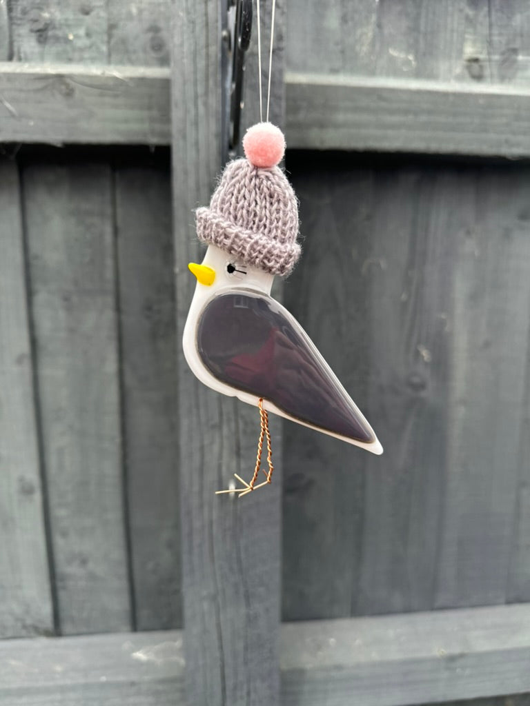 Seagull with Woolly Hat