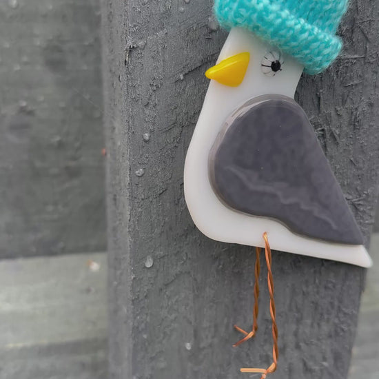 Seagull with Woolly Hat