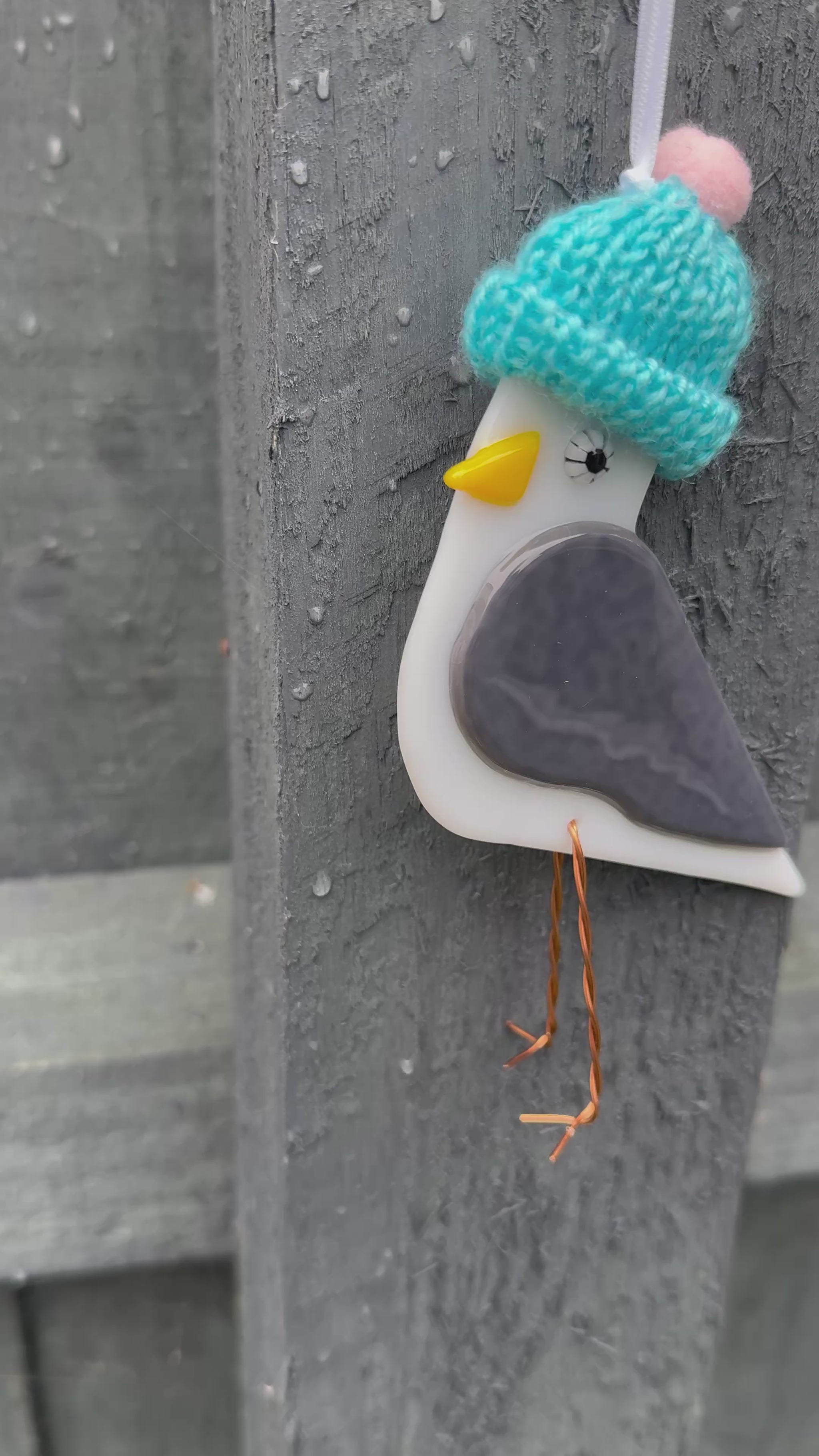 Seagull with Woolly Hat