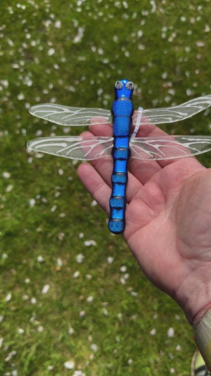 Fused Glass Dragonfly shiny Blue